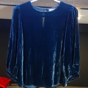 Velvet blouse